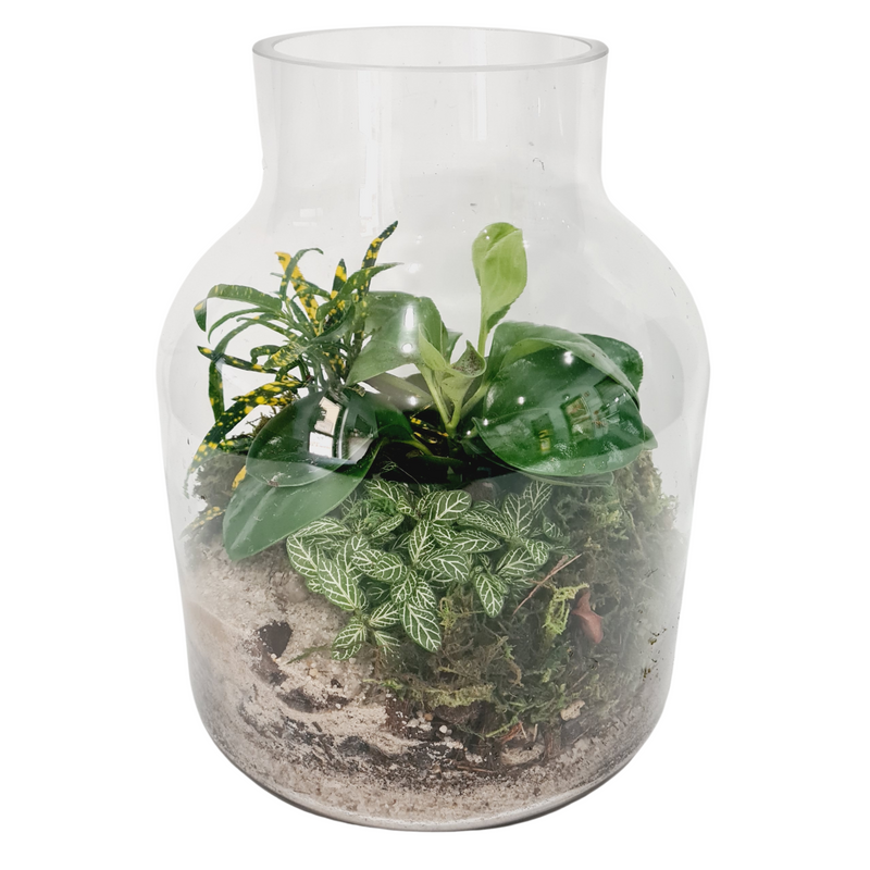 Flora By Design - Terrarium Large